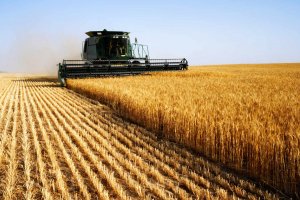 Сельскохозяйственная отрасль Украины за год выросла всего на 2% - эксперт
