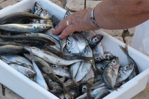 Рыбная отрасль - в системном кризисе: украинец в среднем съедает 8 кг рыбы в год при норме 20