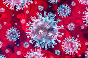 ВОЗ: «Существует четыре сценария распространения коронавируса в мире»
