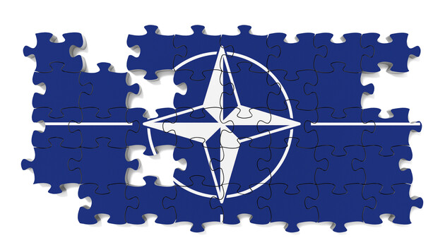 Чи ввійдуть фіни і шведи у двері НАТО?