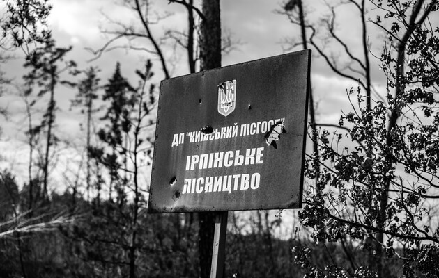 Що з українськими лісами під час війни?