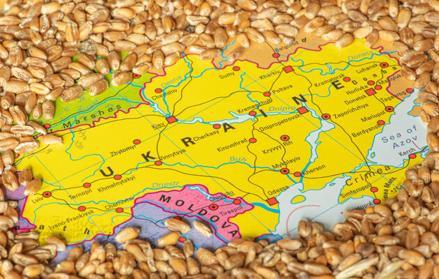 Соглашение по зерну: не станет ли оно фатальным для Украины?