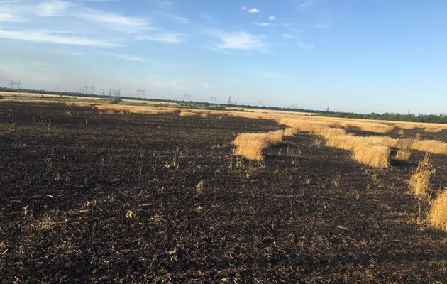 Обстрел Донецкой области: сгорело 150 га поля с пшеницей