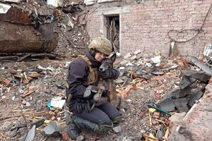 Dogs of war: rescue the living, find the dead