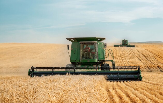 Мінсільгосп США дав прогноз, скільки вдасться виростити пшениці в Україні цьогоріч