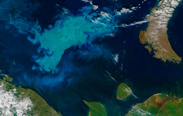 Мировой океан меняет цвет, вероятно из-за нарушения климата – ученые