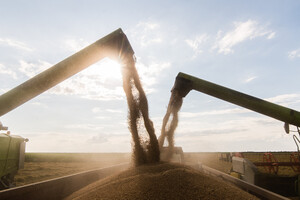 Экспорт зерна: РФ не удастся вытеснить Украину с рынков продовольствия