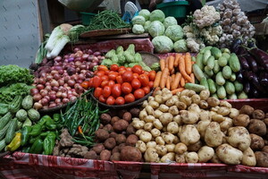 Эксперт спрогнозировал, когда Украина сможет возобновить выращивание овощей на временно оккупированном юге