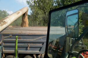 Треба усувати труднощі з доступом українського зерна на ринки, а не сприяти заробіткам на цих труднощах