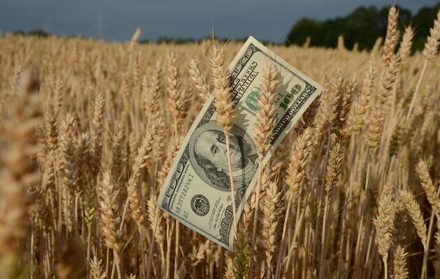 Египет ведет переговоры о закупке пшеницы в Казахстане за счет кредита от ОАЭ