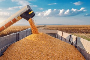 ЦНС: Россияне вывозят из Украины зерно в Иран и Сирию