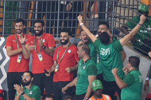 Египетская ассоциация футбола принесла в жертву корову ради везения сборной на Кубке Африки