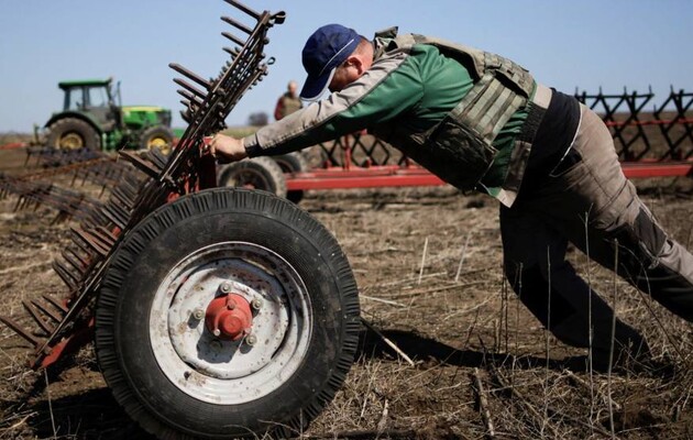 Фермерам у прифронтових зонах ФАО ООН не надало обіцяної підтримки – Мінагрополітики