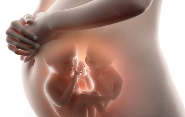 Из замороженных в 1992 году эмбрионов родились близнецы